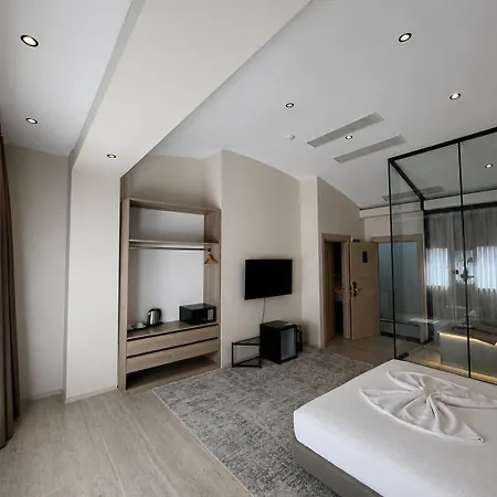 Hotel Istanblu Hotel&spa Smirne
